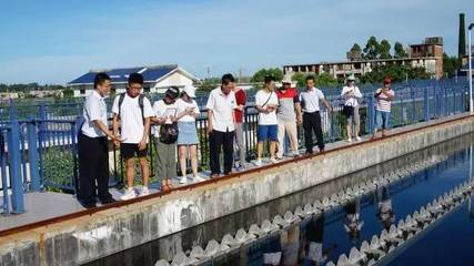 巡訪東山溪流，看我材料河小禹——污水處理與再生利用實踐探索